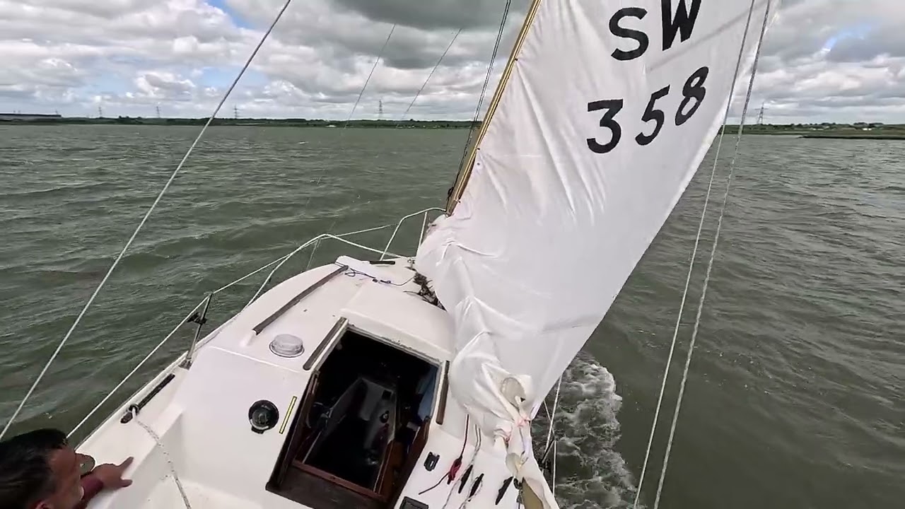 Red Admiral On a Short Spontaneous Sail