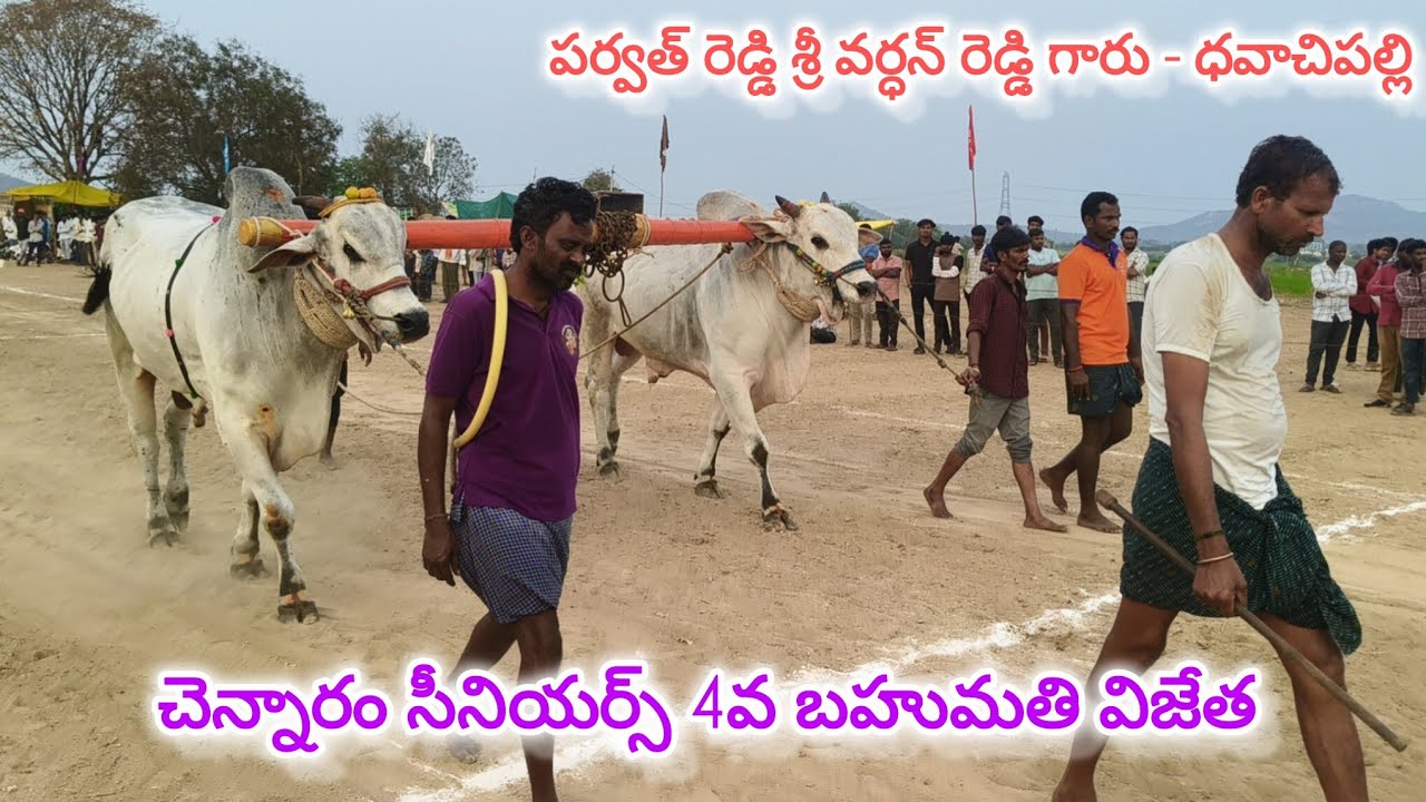 చెన్నారం సీనియర్స్ విభాగం 8వ జత.పర్వతరెడ్డి శ్రీవర్ధన్ రెడ్డి గారు.