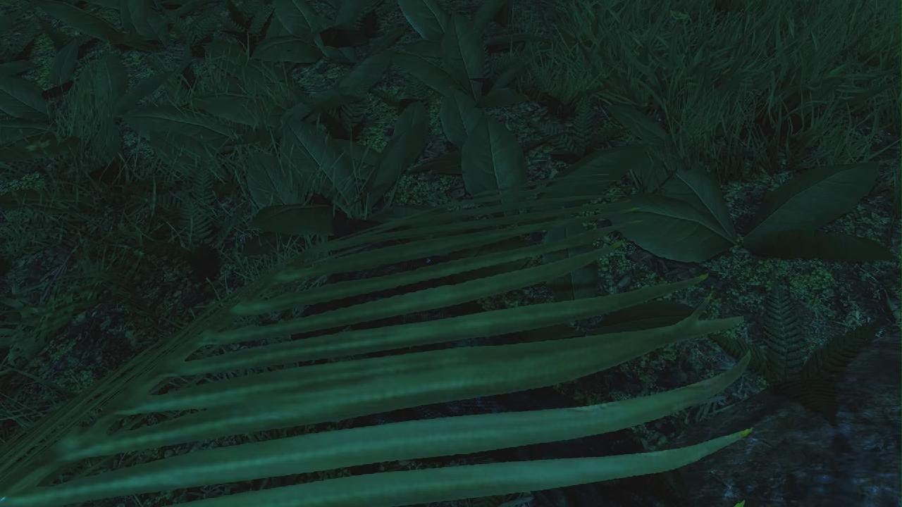 Far Cry 3 - this camp was run by dogs