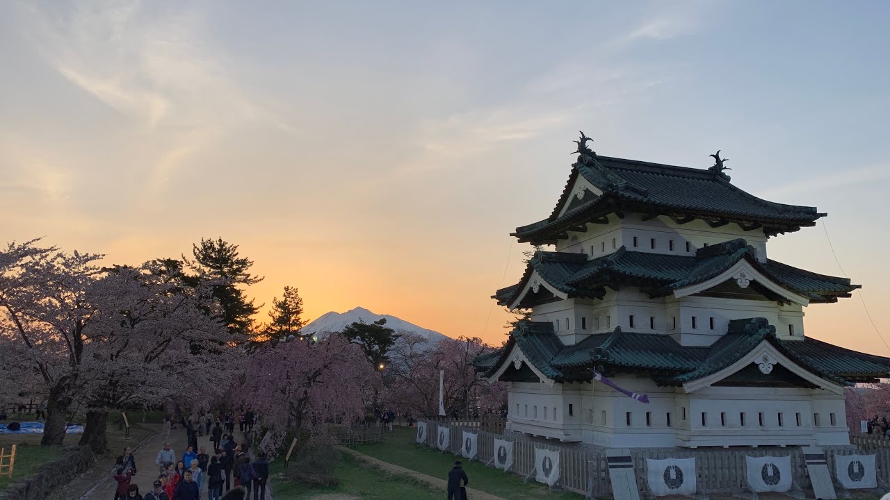 The Most Beautiful Cherry Blossoms!🌸 (美しい桜の名所＠弘前公園//Aomori, Japan)