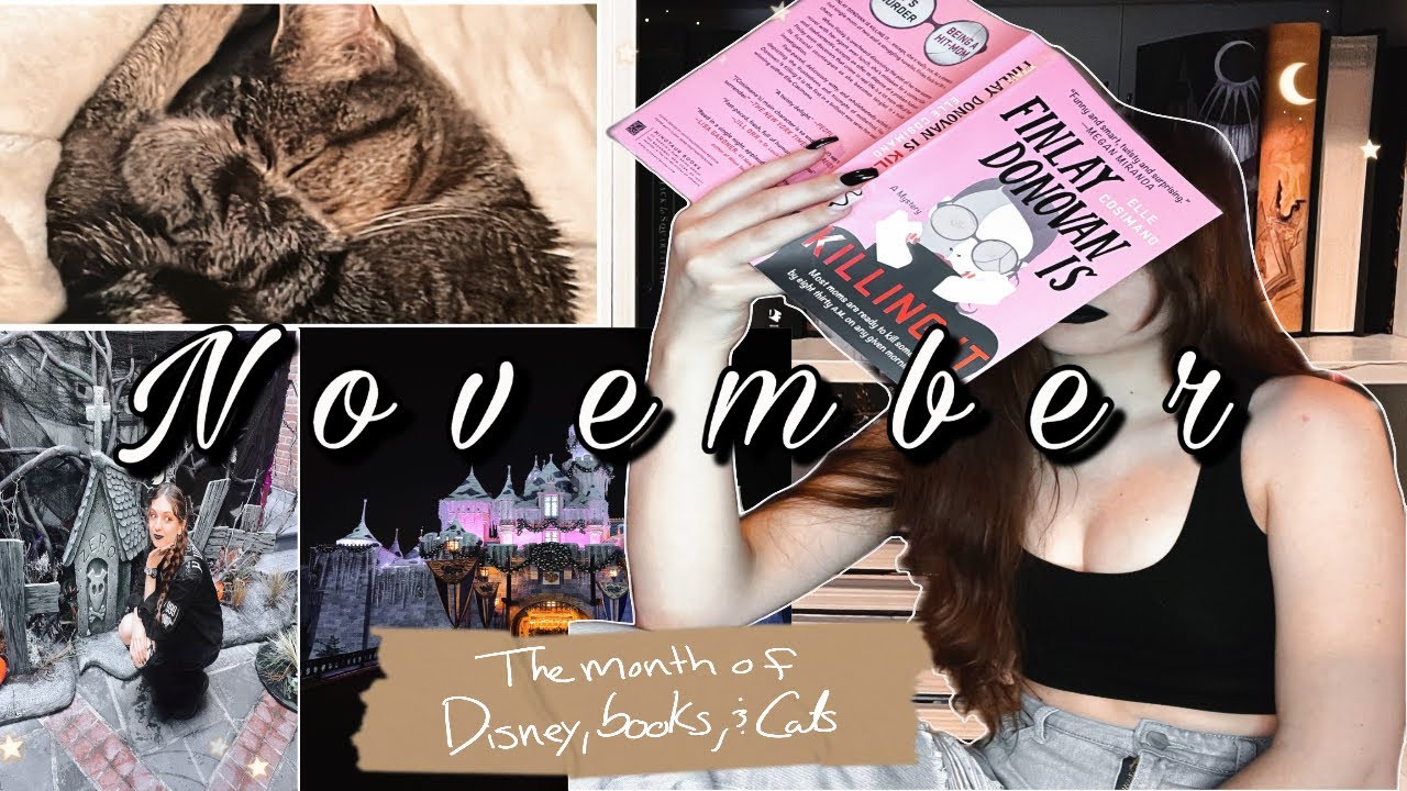 November  | Disneyland, Books, and lots of cats [2022]