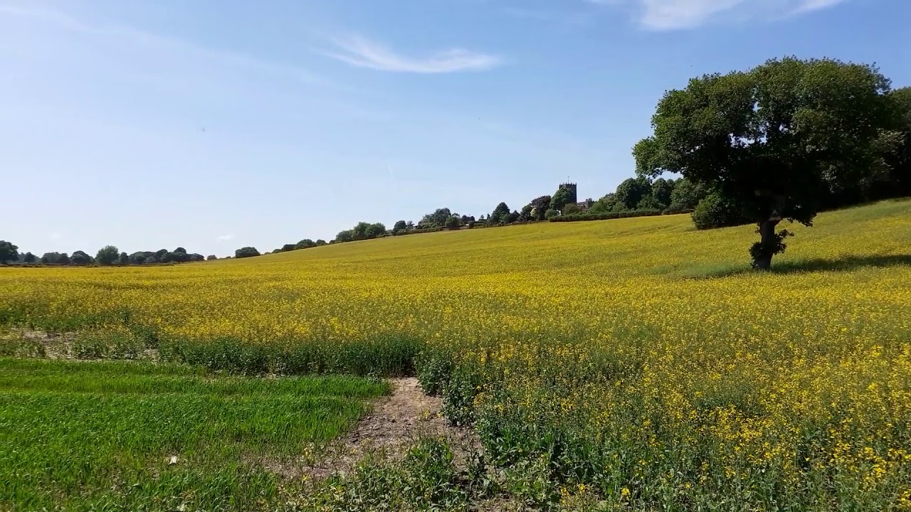 Stunning Countryside at Great Budworth in Cheshire