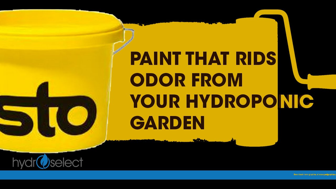 Sto Color Climasan - Paint That Rids Odor From Hydroponic Gardens