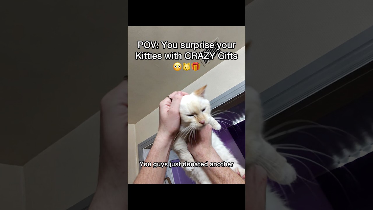 Это кресло в виде кошки — идеальное дополнение к нашему дому 🐱🪑 