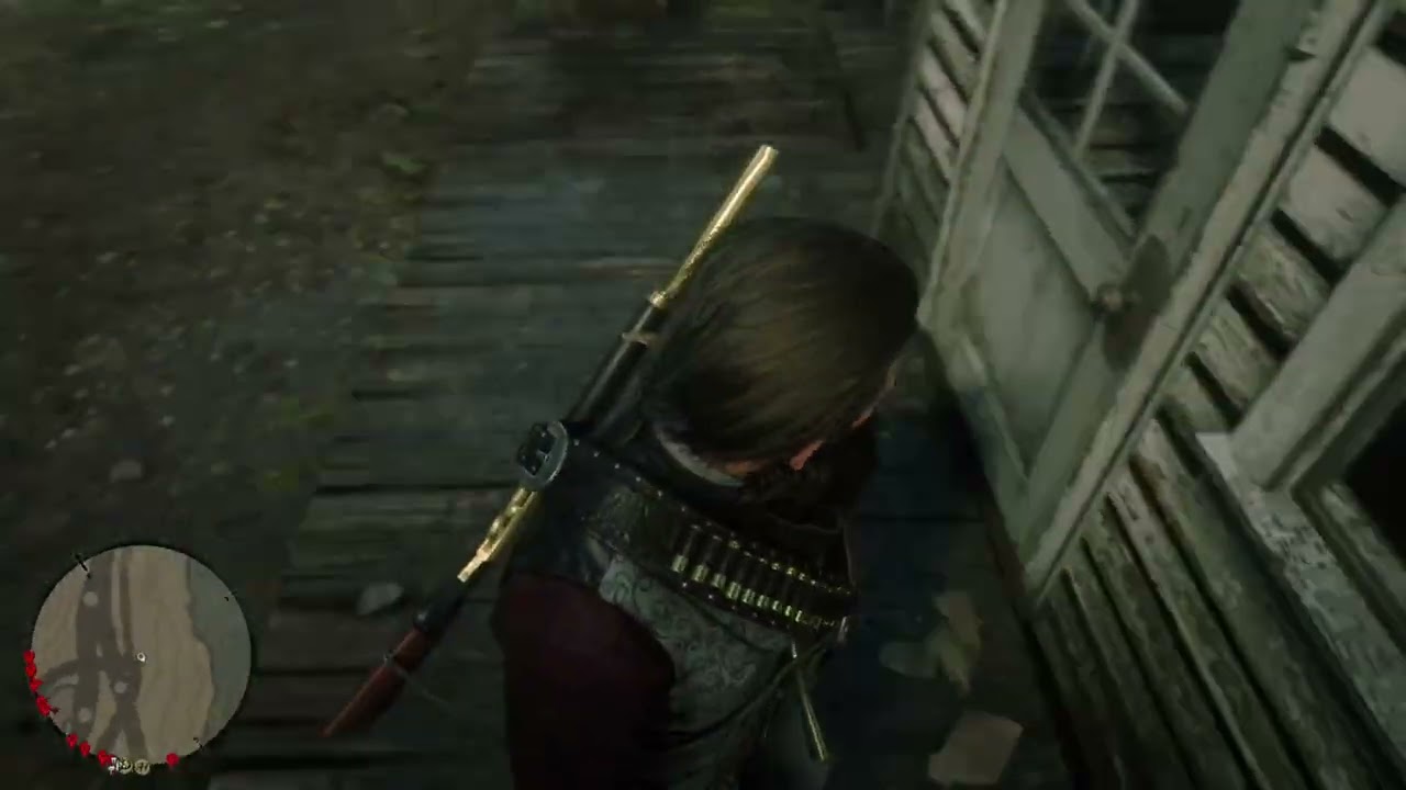 RDR2 camera glitch Under the map and i found something