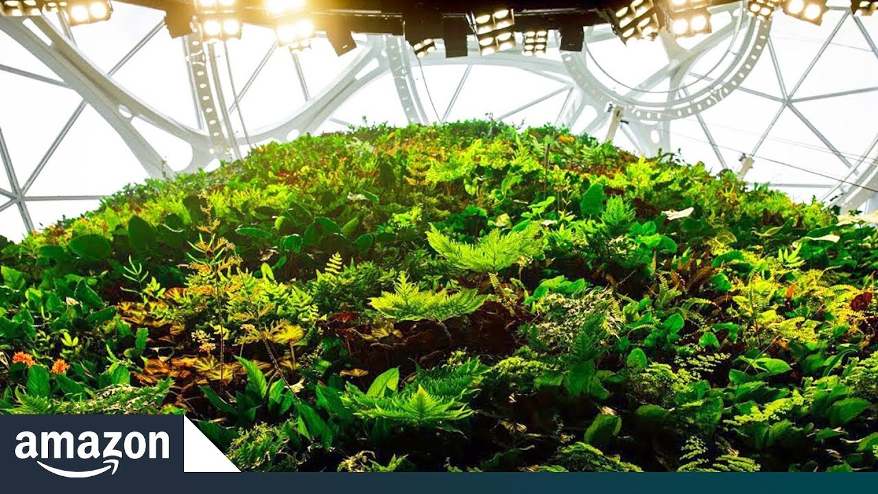 Amazon Spheres' Living Wall | Amazon News