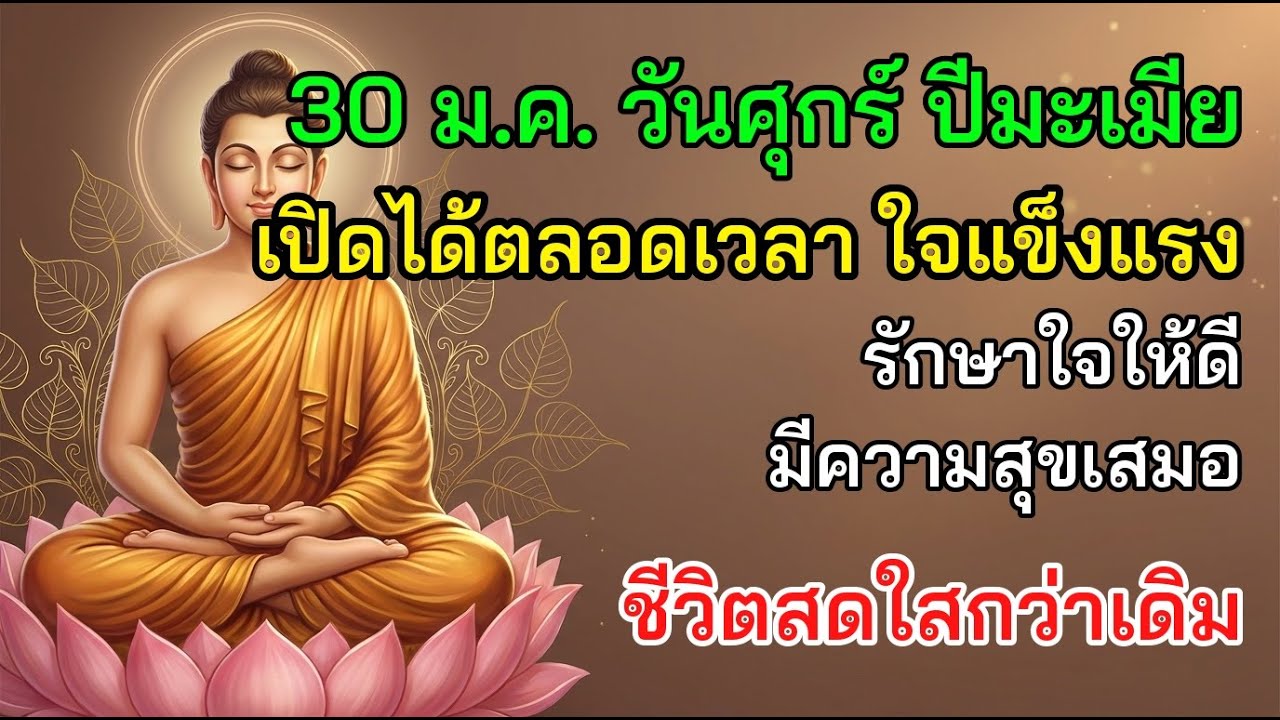 🌿 30 ม.ค. วันศุกร์ ปีมะเมีย เปิดได้ตลอดเวลา ใจแข็งแรง รักษาใจให้ดี มีความสุขเสมอ