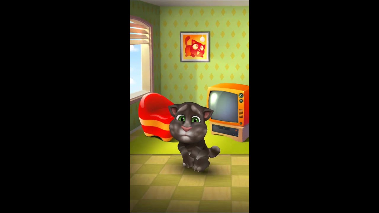 [My Talking Tom] Tom cat wanted to go for pee