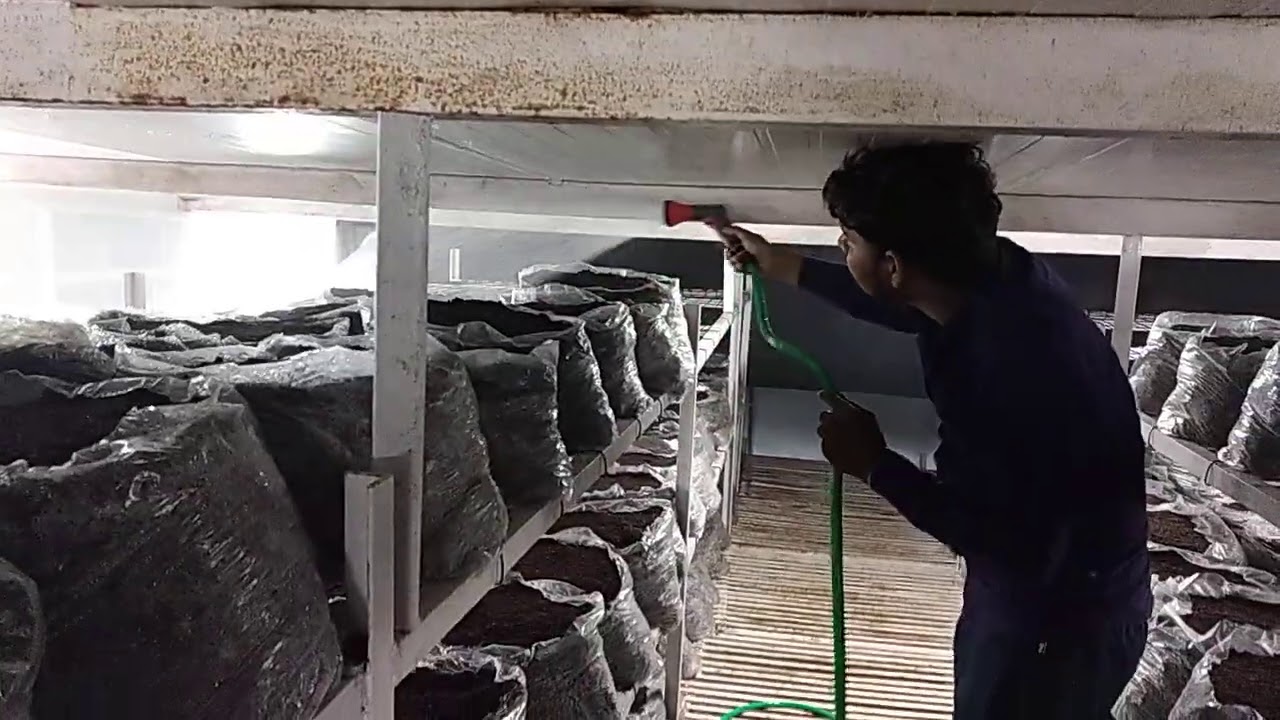 watering total set up. वाटरिंग करने का पूरा सेटअप।