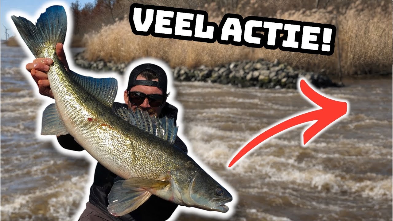 Vang MEER SNOEKBAARS in TROEBEL water! - Alles wat je moet weten