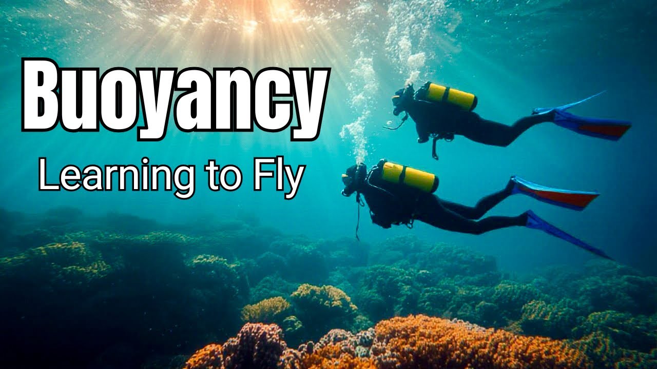 Scuba Diving Buoyancy | Finding Balance Beneath the Surface