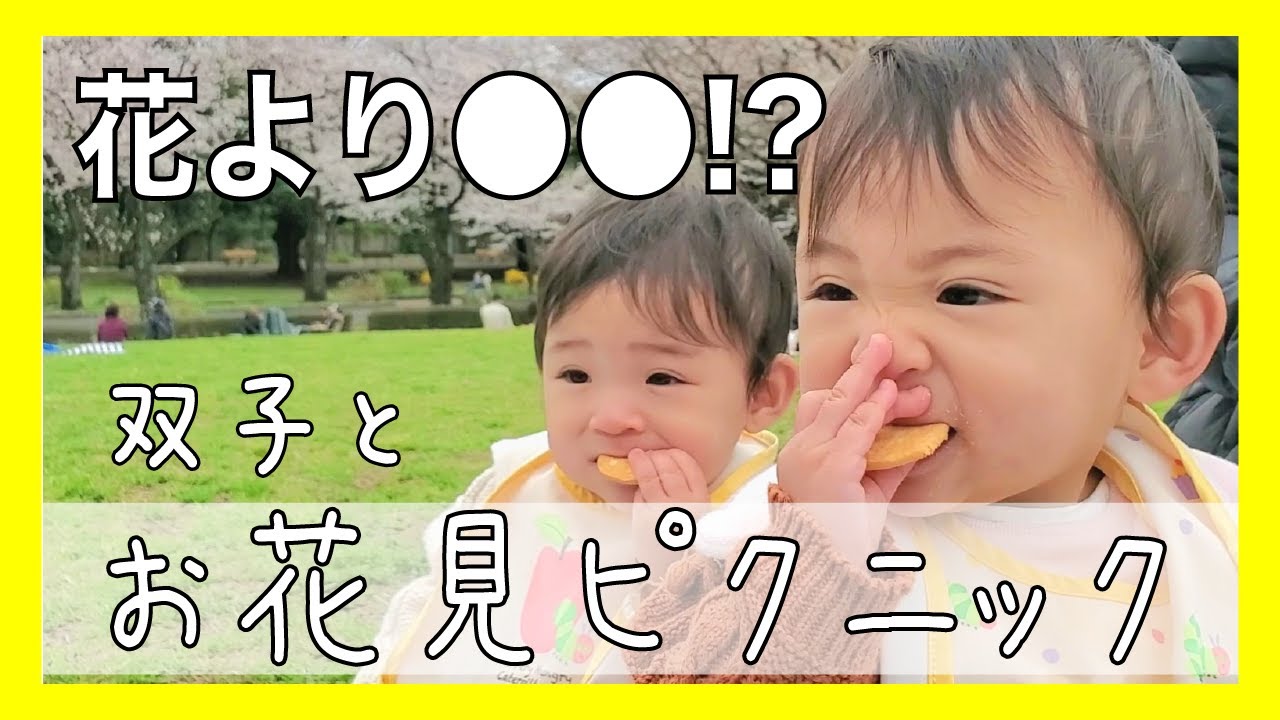 花より〇〇!?双子の赤ちゃんとお花見ピクニック🌸/Cherry blossom viewing with twin babies