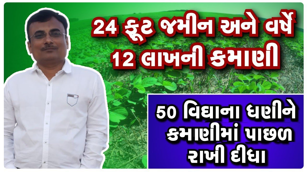 ના ખેતર,ના કૂવો પરંતુ મહિને એક લાખની કમાણી llપુરા ભારતમાં કરે છે નિકાસ llગુજરાતમાં આ ખેડૂતની બોલબાલા