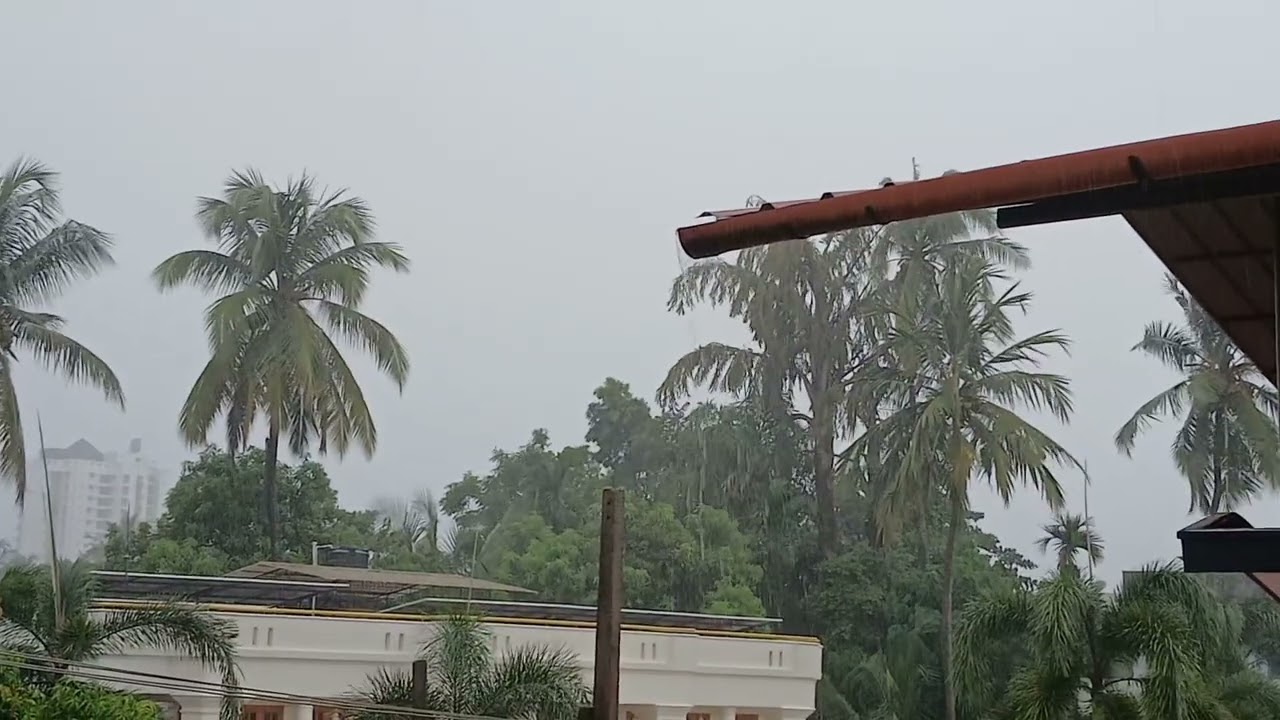Rain Rain. It's okay.