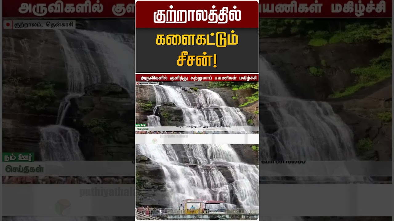 குற்றாலத்தில் களைகட்டும் சீசன்! | Courtralam