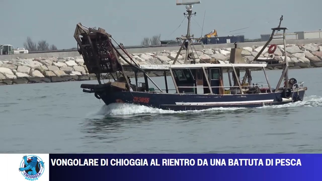 VONGOLARE DI CHIOGGIA AL RIENTRO DA UNA BATTUTA DI PESCA
