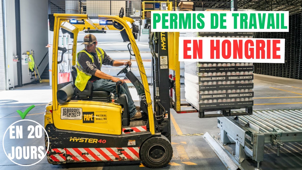 COMMENT OBTENIR LE PERMIS DE TRAVAIL DE LA HONGRIE  EN 20 JOURS #hungary #workpermit #lifeabroad #80