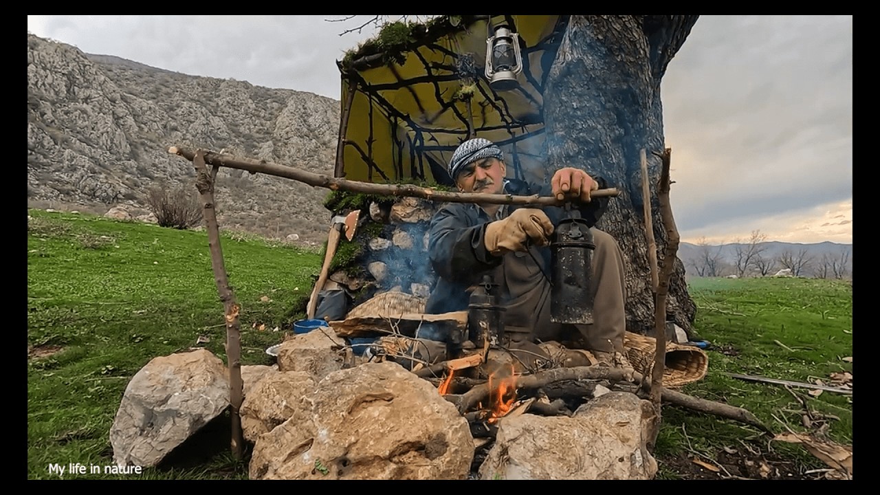 Camping on the hill with our dogs, cooking meals, and spending the night under a big tree