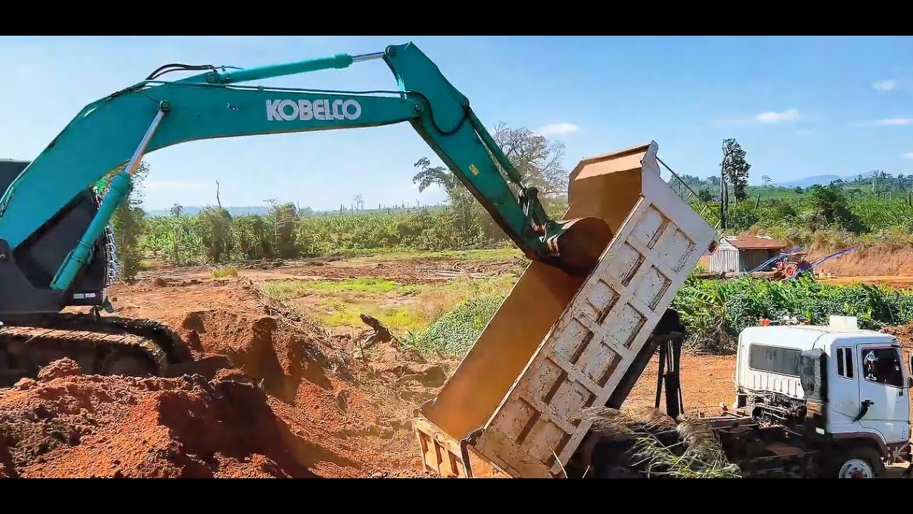 After a short break, the excavator and earthmoving trucks are back at work
