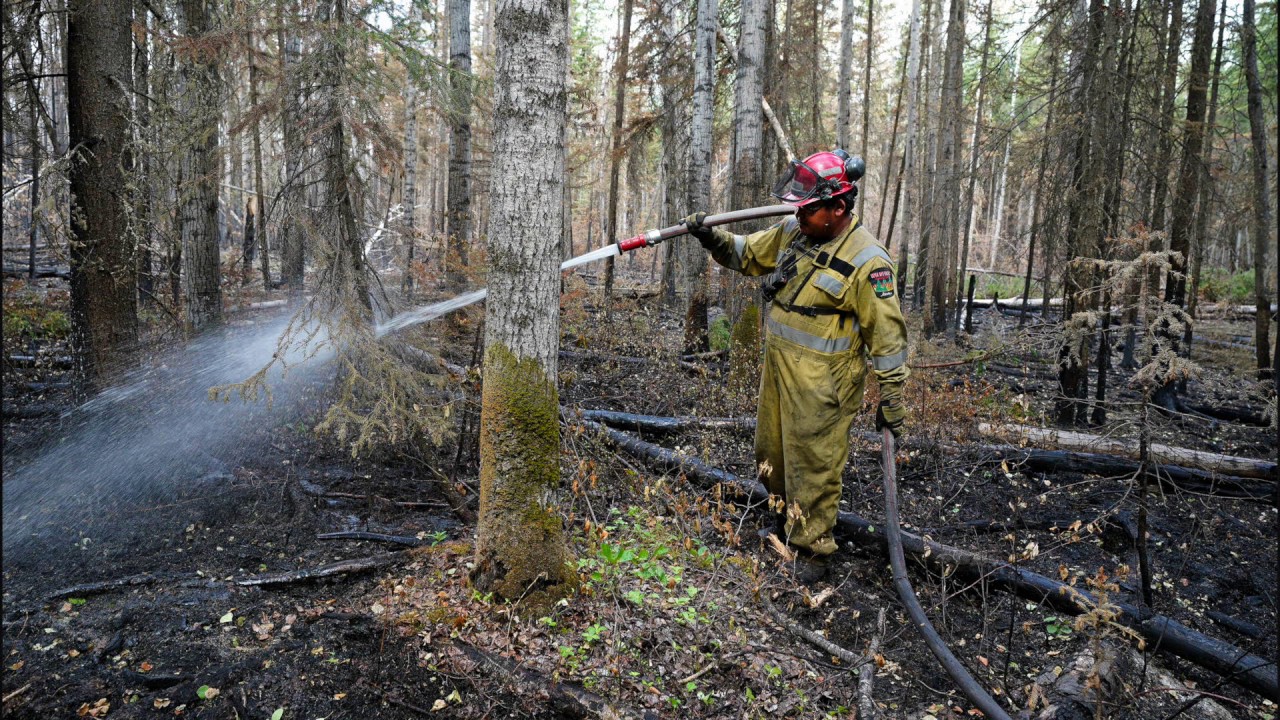 COVID-19: Fire ban and off road vehicle restrictions kick off wildfire season