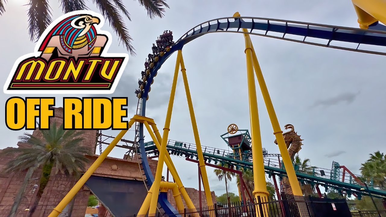 Montu, an INTENSE Roller Coaster! | Off Ride Footage | Busch Gardens Tampa Bay