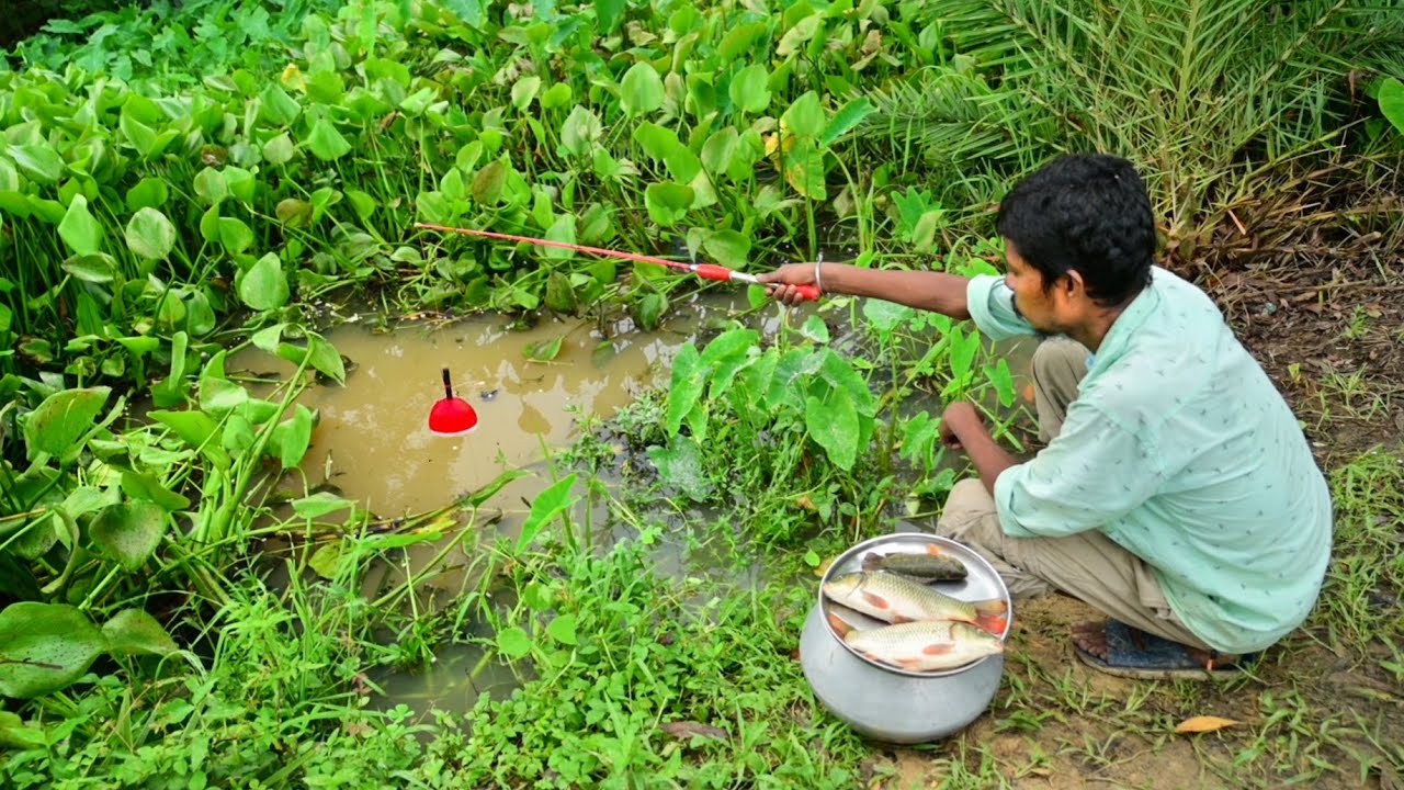 Fishing Video || I was impressed to see village boy fishing technique || Traditional hook fishing