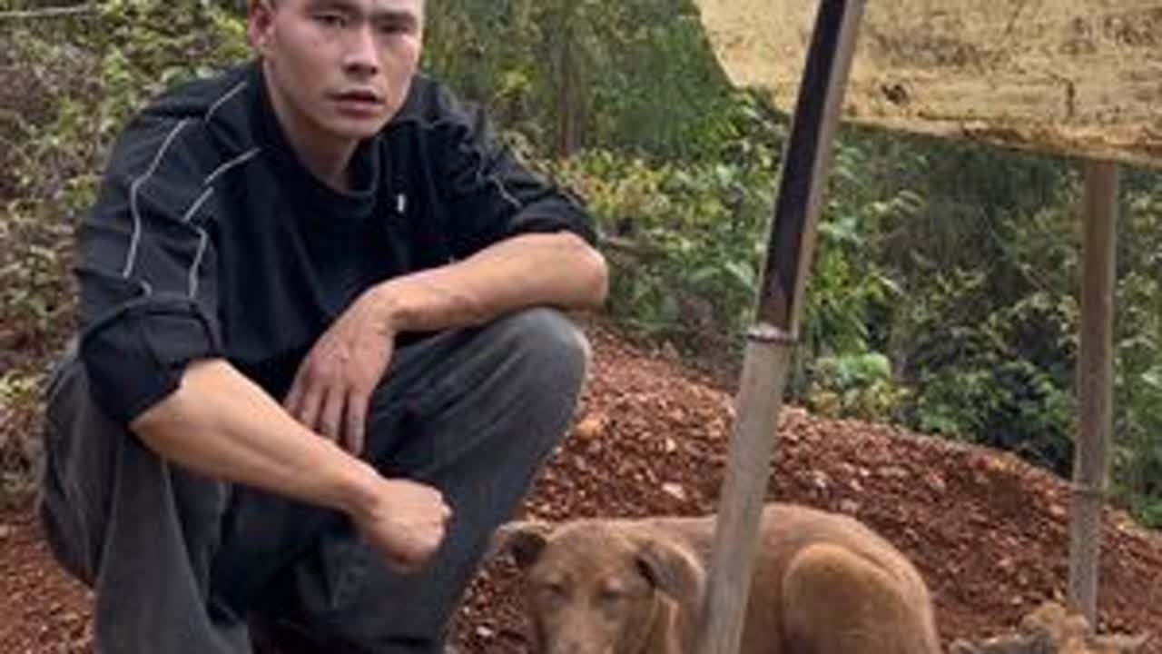 毛孩子依依一直守护在它哥哥的墓前，毛孩子很忠诚，很重情重义，请善待每一个毛孩子。#流浪狗救助#关注流浪狗#狗是人类最忠诚的朋友