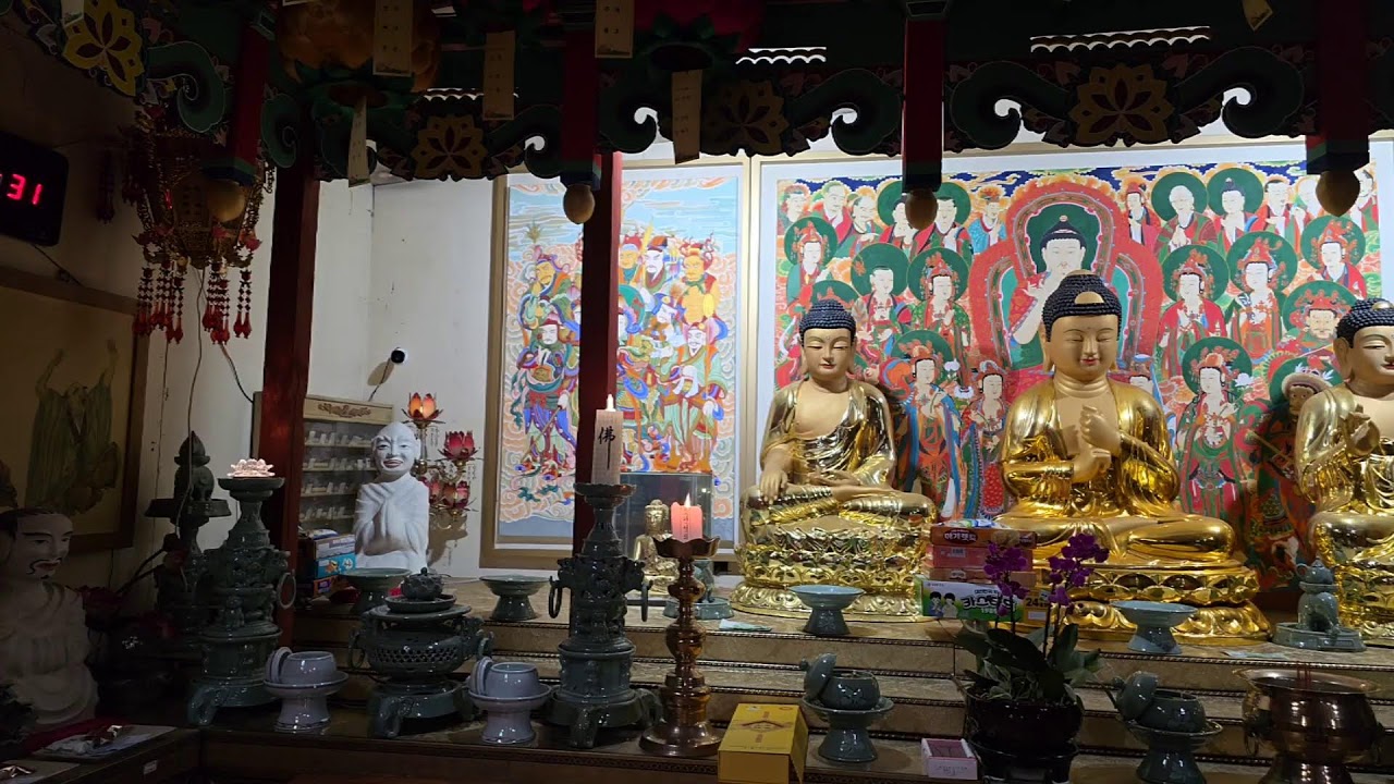 무창스님 라이브 방송