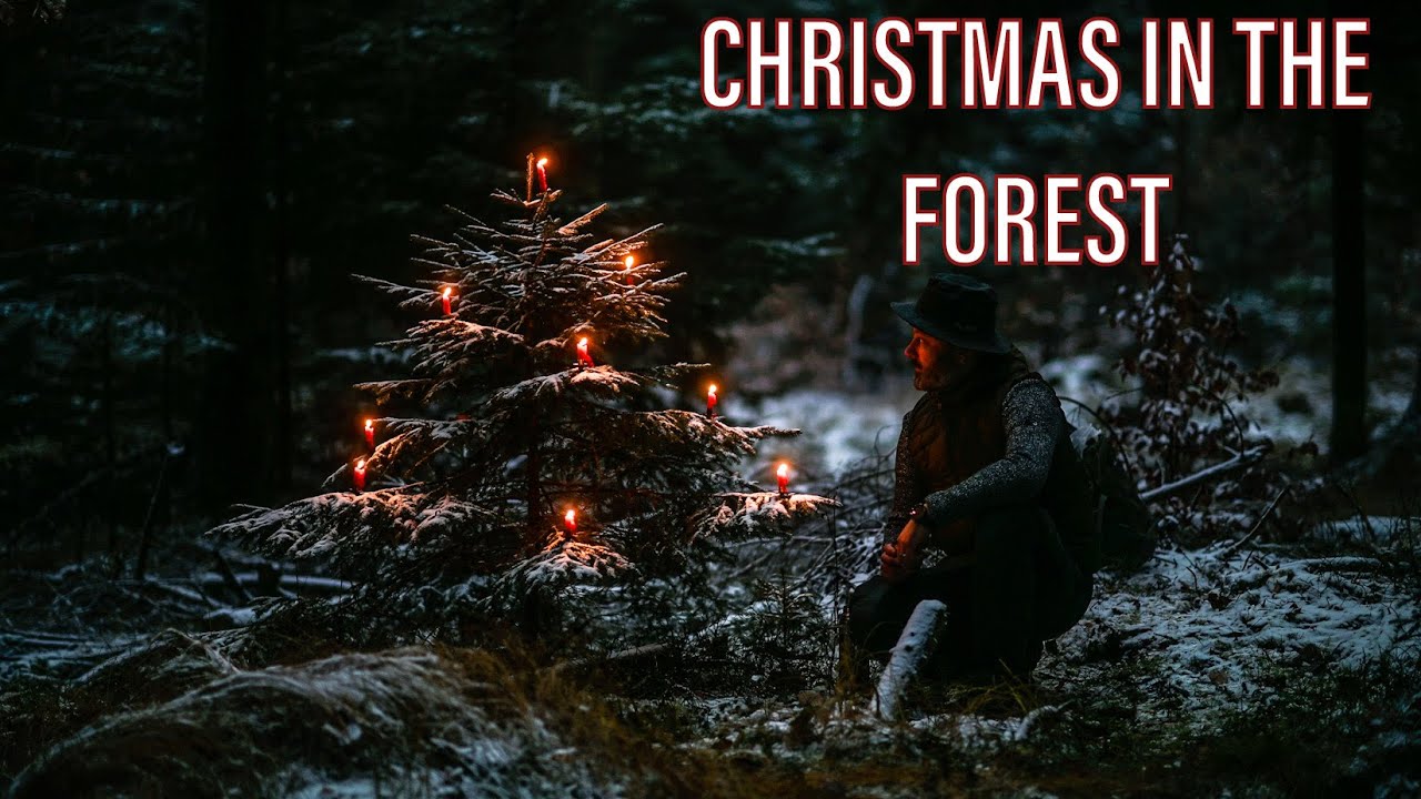 DER SCHÖNSTE WEIHNACHTSBAUM, schmücken, Weihnachten, Wald, Fest, Outdoor, Natur / Short Film