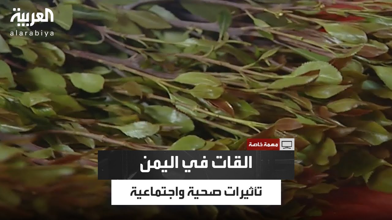 مهمة خاصة | القات في اليمن: تأثيره على الصحة والاقتصاد والفقر بين الشباب والنساء