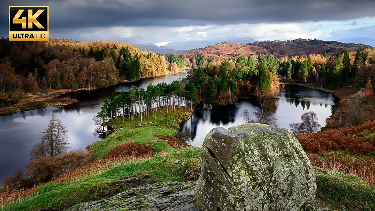 Peaceful Early Evening Walk by the Lake | TARN HOWS, ENGLAND.