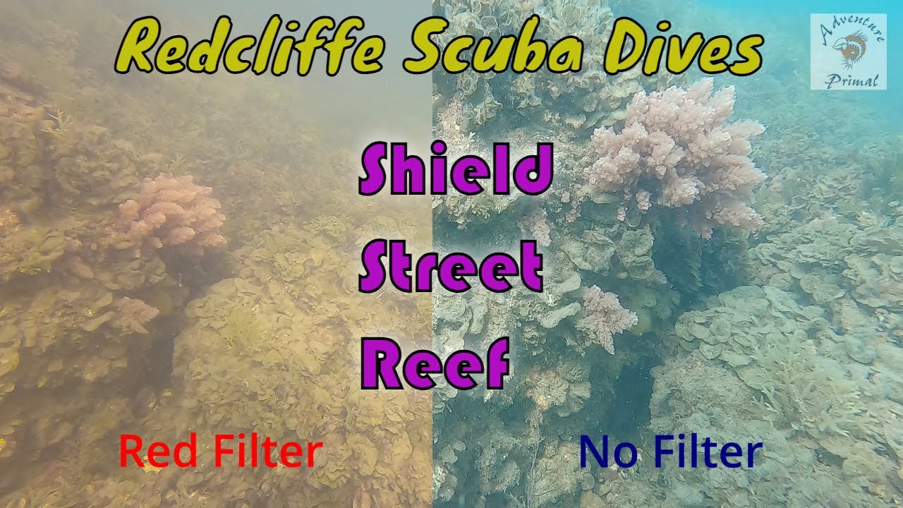 Redcliffe Scuba Dives - Shield Street Reef