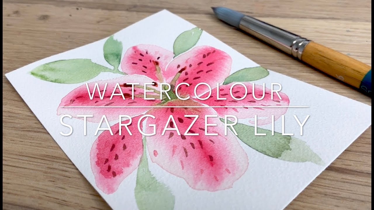 Watercolour Stargazer Lily