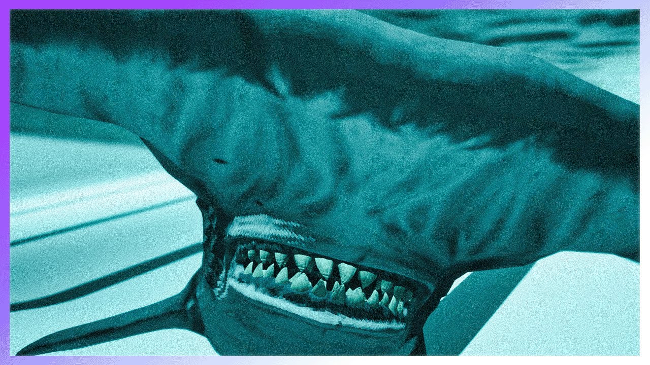 sovi struggles through sharks and minnows (the dev had to watch)