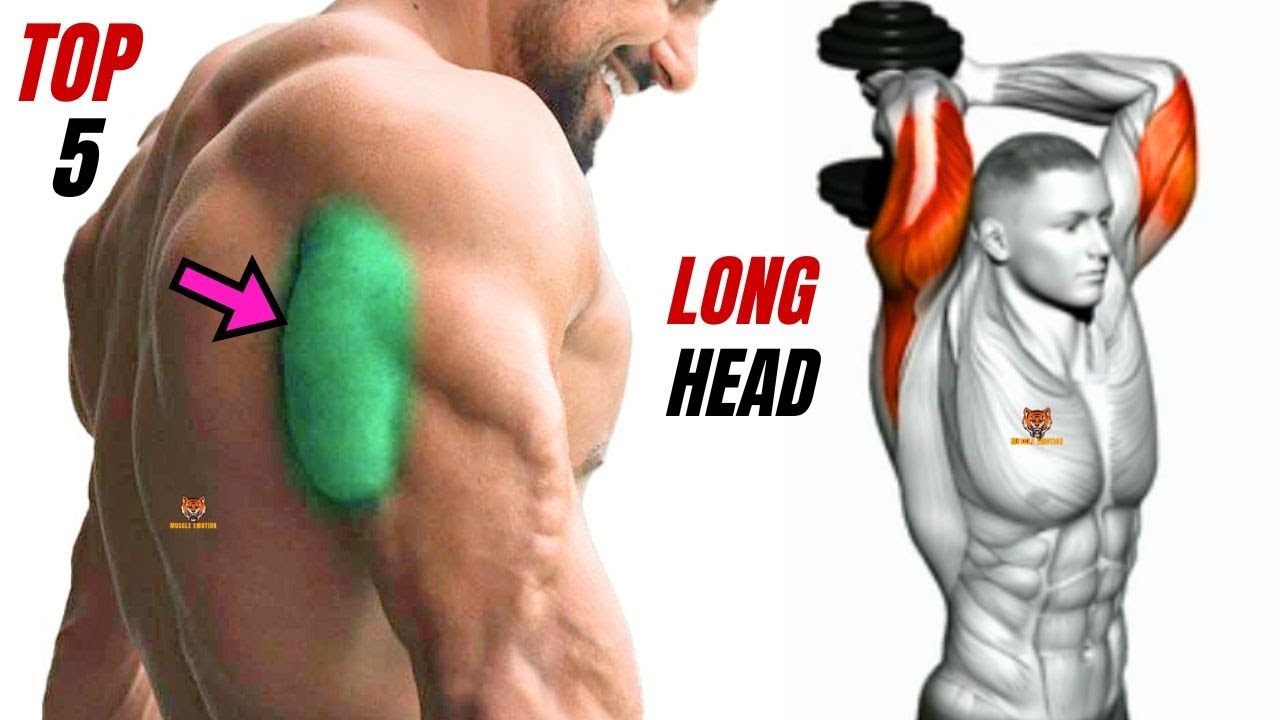 TOP 5 LONG HEAD TRICEPS WORKOUT AT GYM