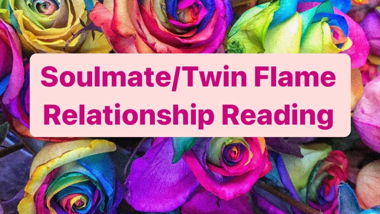 ✨Divine Match✨ Soulmate/Twin Flame Relationship Tarot Reading ❤️