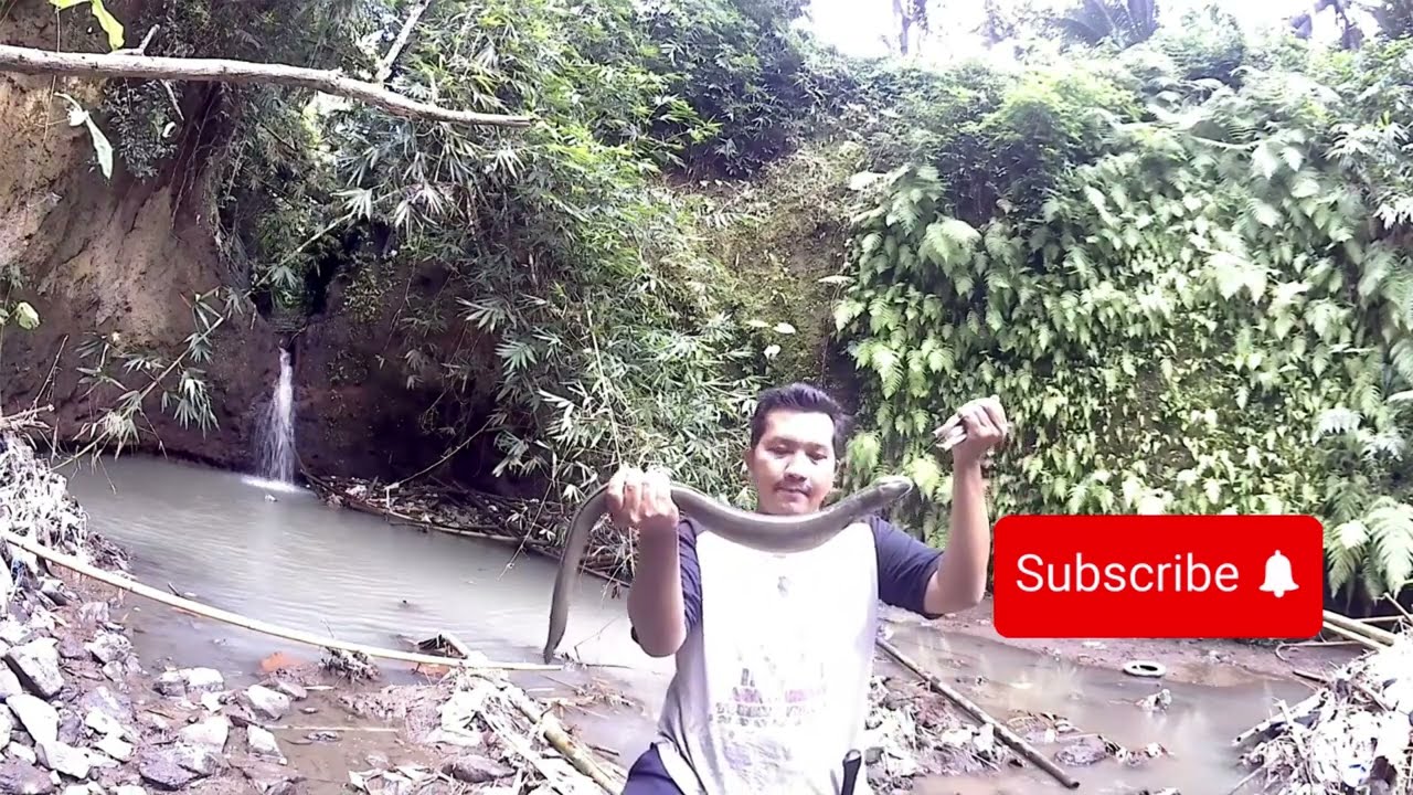 dapet sidat babon langsung dapat 2 ekor//gak sia2 perjuangan  ini
