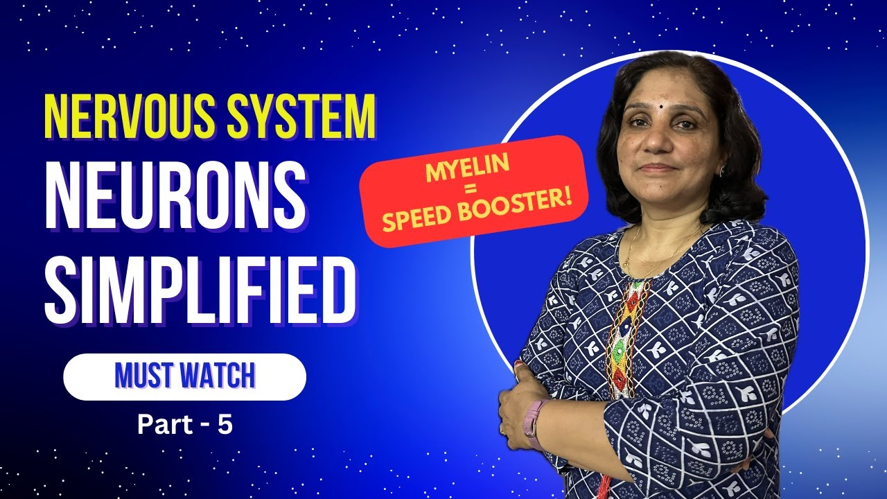 Neurons Explained: Axons, Dendrites & Myelin Sheath (Nervous System Pt5) | Student Guide | Malayalam
