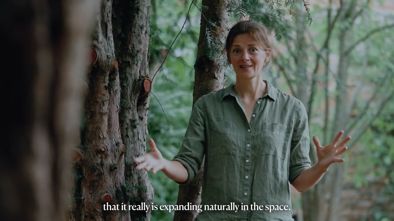 Whispers of the Wilderness with Laura Ellen Bacon at Beningbrough Hall