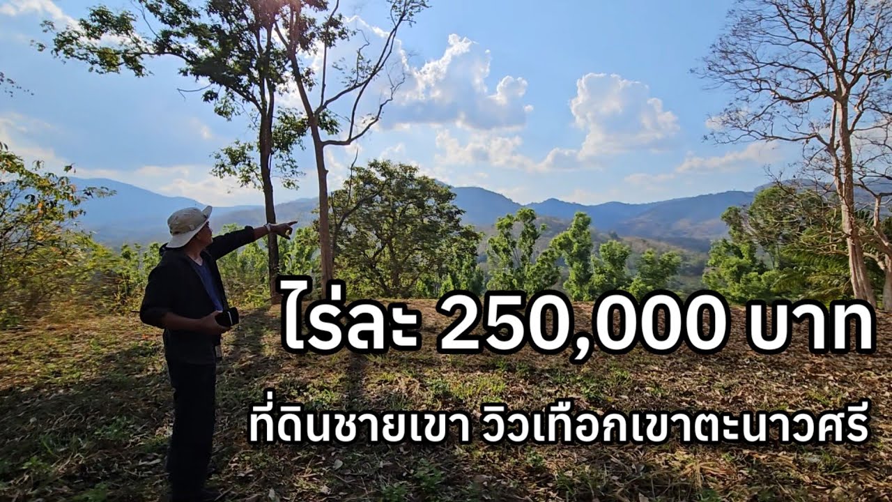 ⛰️ ที่ดินชายเขา พร้อมสวนผสมผสาน และพันธุ์ไม้หายาก วิวเทือกเขาตะนาวศรี ใกล้แหล่งท่องเที่ยวสวนผึ้ง 
