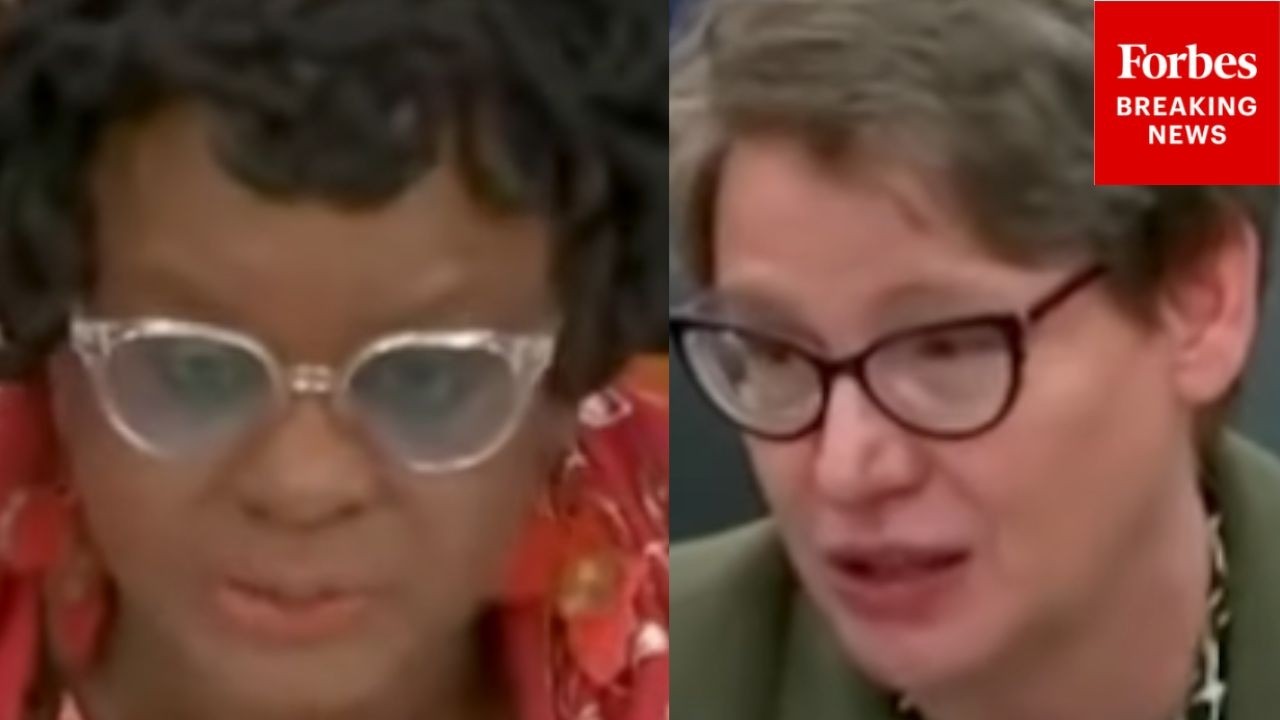 Gwen Moore Asks Social Insurance Expert: 'Are We Prepared For The Next Pandemic Or A Recession?'