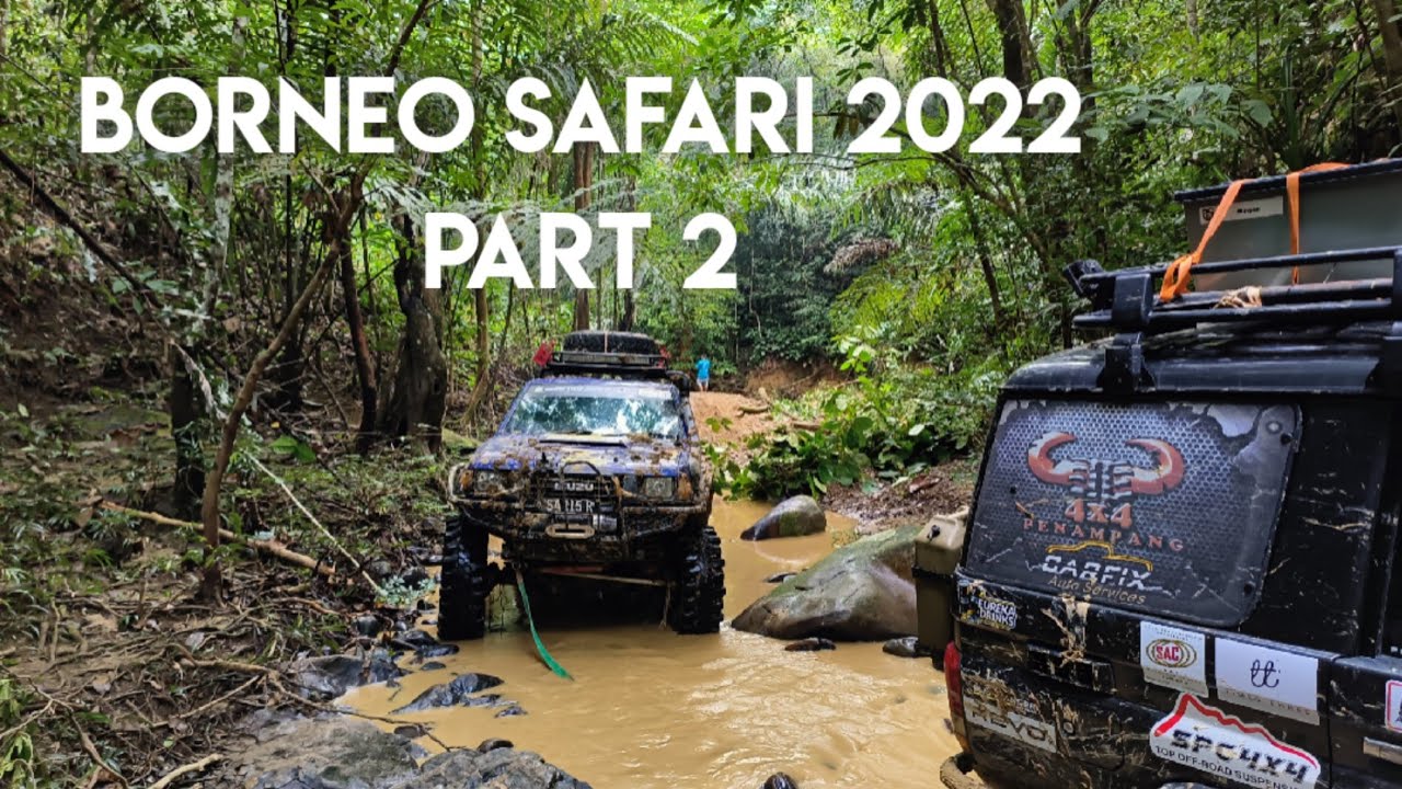 Borneo Safari 2022 | Part 2