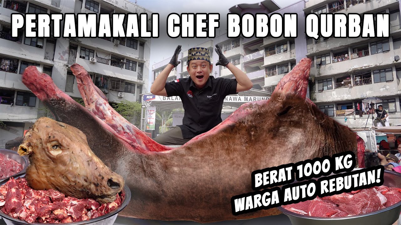 MUALAF PEMULA! NIATAN QURBAN 1 TON EH MALAH GA SAH.