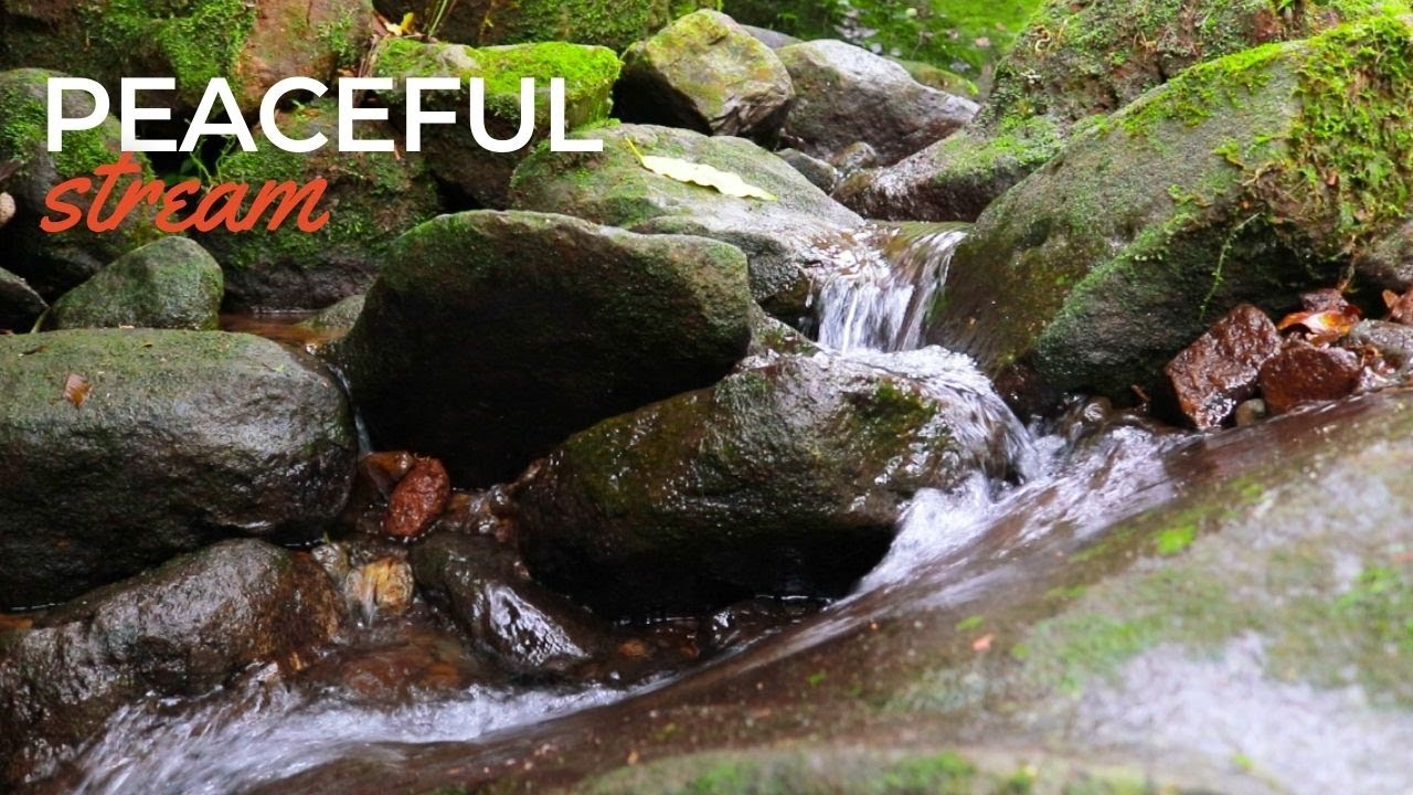 Flowing Harmony: Gentle River Soundscape - Babbling Brook - Small Gentle Streams - Soothing Sounds