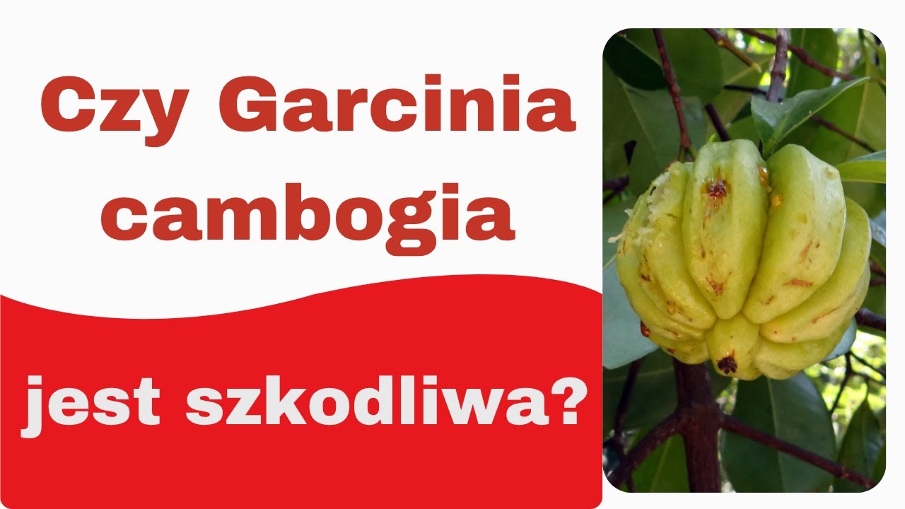 Garcinia cambogia skutki uboczne