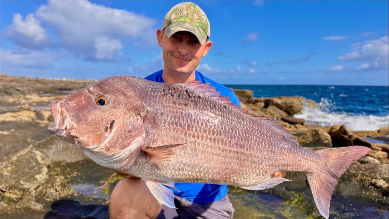 I SMASHED MY RECORD TWICE!!! Shore fishing in Fuertaventura -  | The Fish Locker