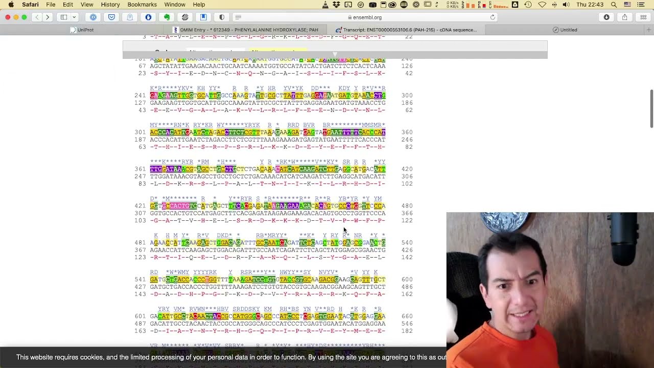 Como hacer primers de PCR.