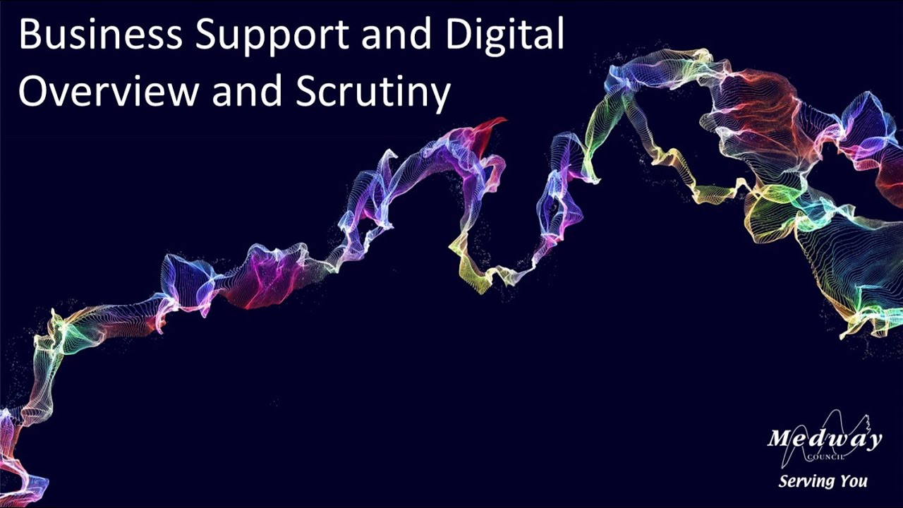 Business Support and Digital Overview and Scrutiny Committee
