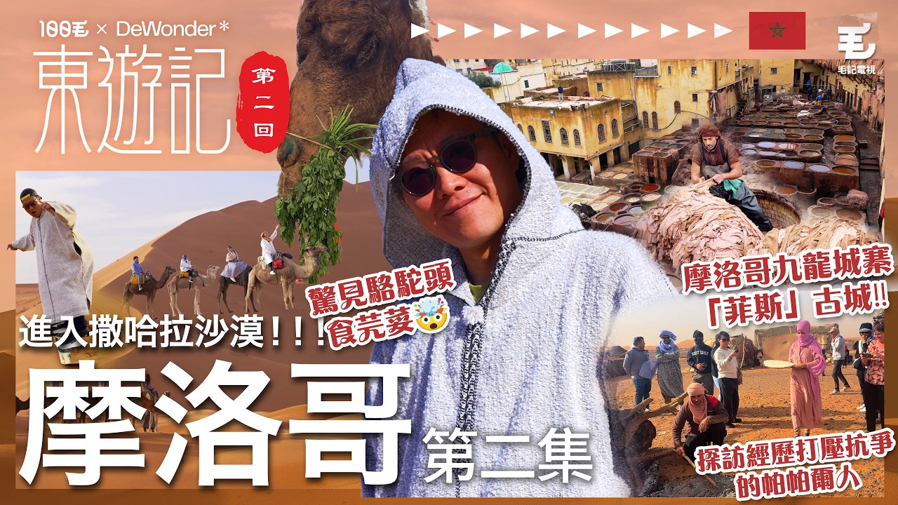 摩洛哥九龍城寨「菲斯」古城‼️驚見駱駝頭食芫荽🤯世界上最臭嘅皮革廠😱 染皮原來要用白鴿屎牛尿🤢進入撒哈拉沙漠！！！探訪經歷打壓抗爭的帕帕爾人《東遊記》第二回 摩洛哥 Ep.2
