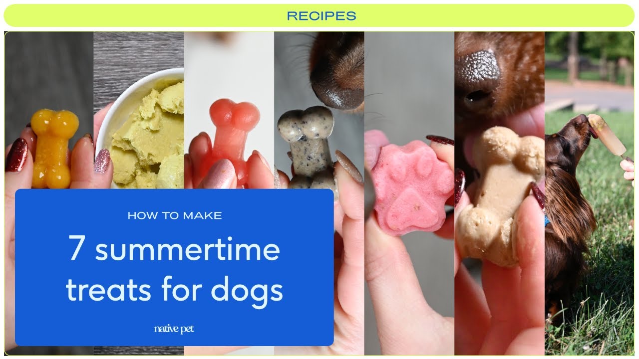 7 Summertime Frozen Treats for Dogs DIY